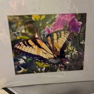 Butterfly Art Print with Pink Flowers